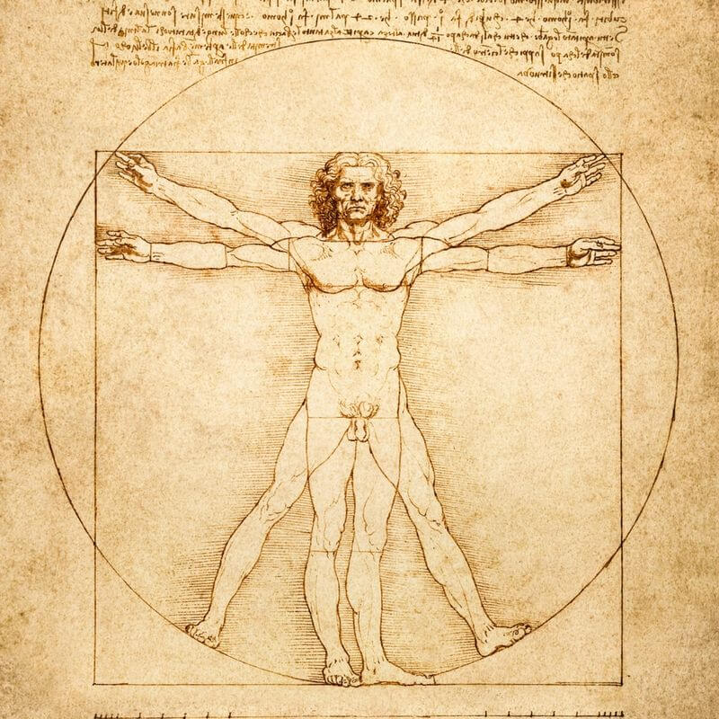 vitruvian-man