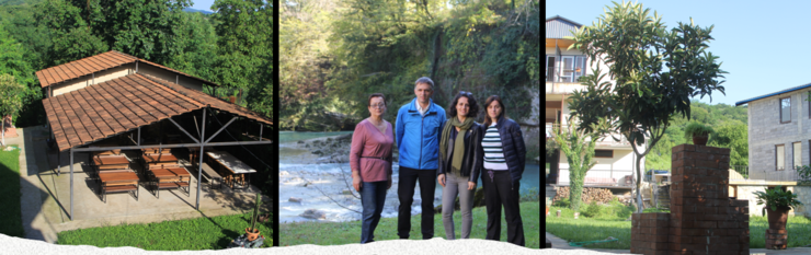 დალის გესთჰაუსი