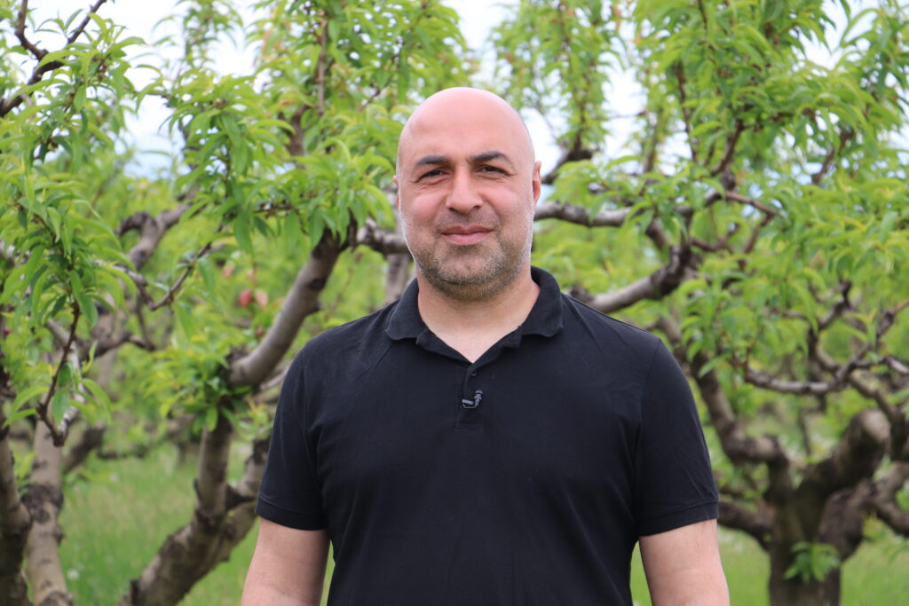 ინვესტიცია ახალ ხილსა და იდეებში